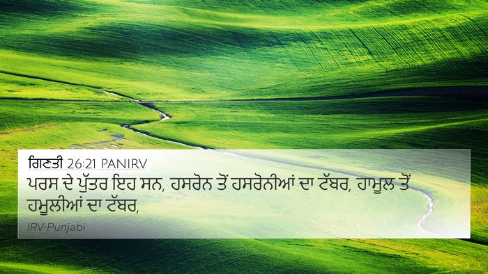 ਗਿਣਤੀ 26:21 PANIRV Bible Verse Image