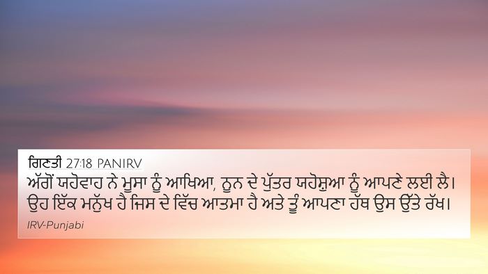 ਗਿਣਤੀ 27:18 PANIRV Bible Verse Image