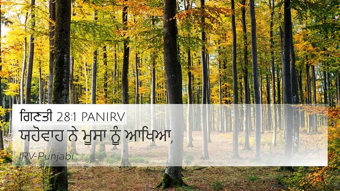 ਗਿਣਤੀ 28:1 PANIRV Bible Verse Image