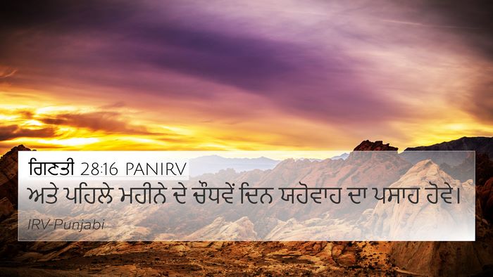 ਗਿਣਤੀ 28:16 PANIRV Bible Verse Image