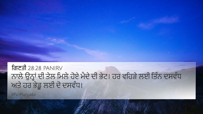 ਗਿਣਤੀ 28:28 PANIRV 4K Wallpaper - ਨਾਲੇ ਉਨ੍ਹਾਂ ਦੀ ਤੇਲ - 4K Wallpaper Bible Verse