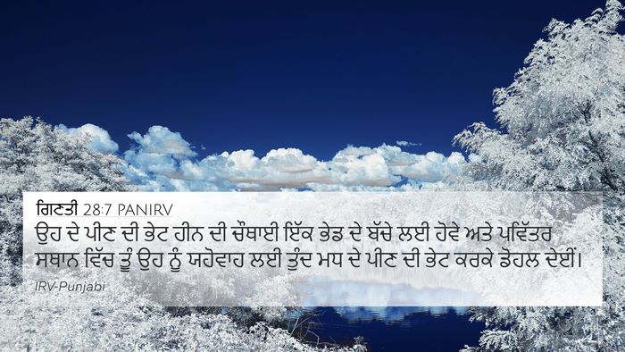 ਗਿਣਤੀ 28:7 PANIRV Bible Verse Image