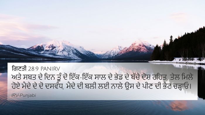ਗਿਣਤੀ 28:9 PANIRV 4K Wallpaper - ਅਤੇ ਸਬਤ ਦੇ ਦਿਨ ਤੂੰ - 4K Wallpaper Bible Verse