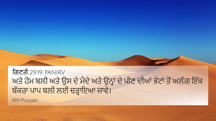 ਗਿਣਤੀ 29:19 PANIRV Bible Verse Image