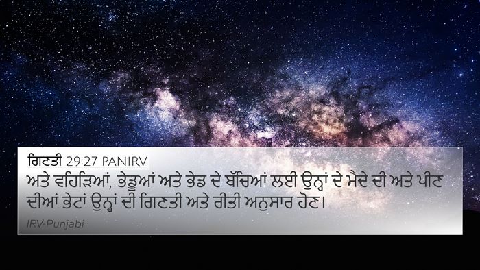 ਗਿਣਤੀ 29:27 PANIRV 4K Wallpaper - ਅਤੇ ਵਹਿੜਿਆਂ, - 4K Wallpaper Bible Verse