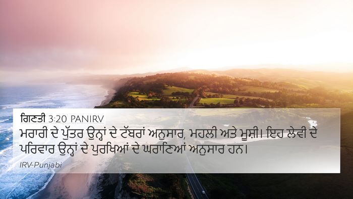 ਗਿਣਤੀ 3:20 PANIRV Bible Verse Image