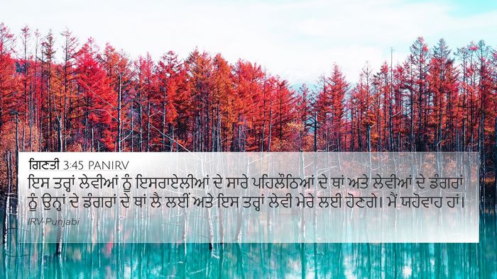 ਗਿਣਤੀ 3:45 PANIRV Bible Verse Image