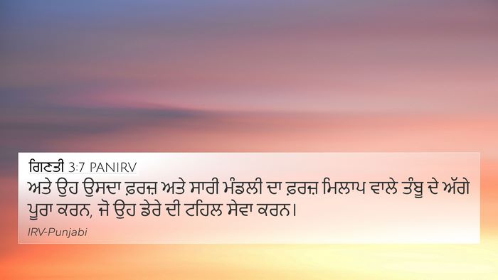ਗਿਣਤੀ 3:7 PANIRV Bible Verse Image