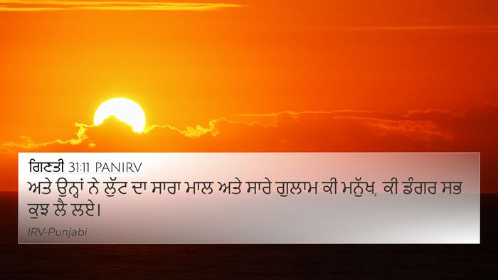ਗਿਣਤੀ 31:11 PANIRV Bible Verse Image