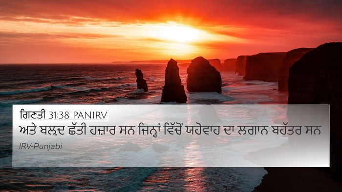 ਗਿਣਤੀ 31:38 PANIRV 4K Wallpaper - ਅਤੇ ਬਲ਼ਦ ਛੱਤੀ - 4K Wallpaper Bible Verse