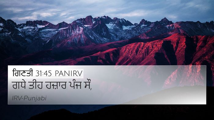 ਗਿਣਤੀ 31:45 PANIRV 4K Wallpaper - ਗਧੇ ਤੀਹ ਹਜ਼ਾਰ ਪੰਜ - 4K Wallpaper Bible Verse