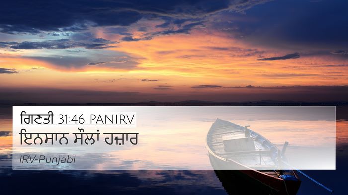 ਗਿਣਤੀ 31:46 PANIRV 4K Wallpaper - ਇਨਸਾਨ ਸੌਲਾਂ - 4K Wallpaper Bible Verse