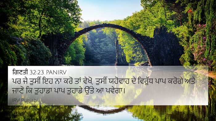 ਗਿਣਤੀ 32:23 PANIRV Bible Verse Image