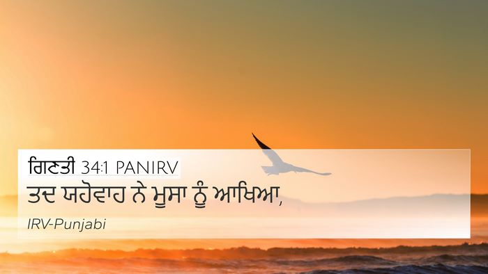 ਗਿਣਤੀ 34:1 PANIRV Bible Verse Image