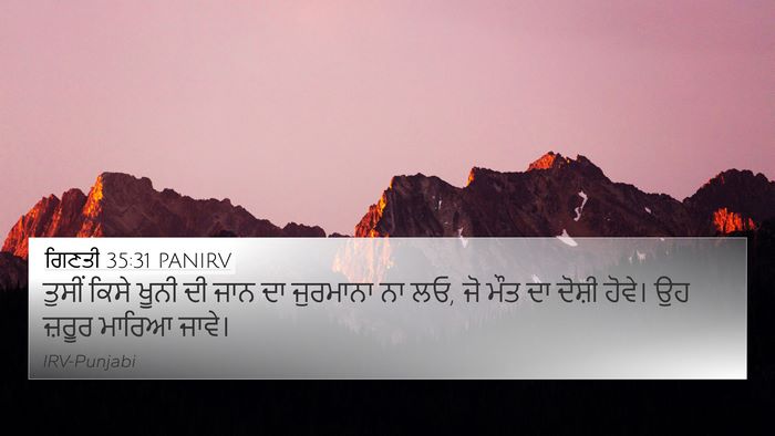 ਗਿਣਤੀ 35:31 PANIRV Bible Verse Image