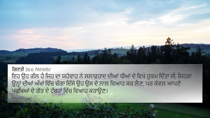 ਗਿਣਤੀ 36:6 PANIRV 4K Wallpaper - ਇਹ ਉਹ ਗੱਲ ਹੈ ਜਿਹ ਦਾ - 4K Wallpaper Bible Verse
