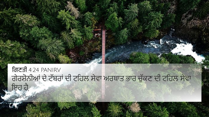 ਗਿਣਤੀ 4:24 PANIRV Bible Verse Image