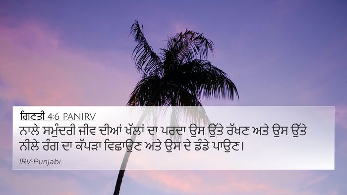 ਗਿਣਤੀ 4:6 PANIRV Bible Verse Image
