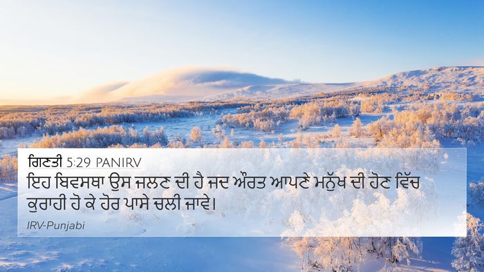 ਗਿਣਤੀ 5:29 PANIRV 4K Wallpaper - ਇਹ ਬਿਵਸਥਾ ਉਸ ਜਲਣ ਦੀ - 4K Wallpaper Bible Verse