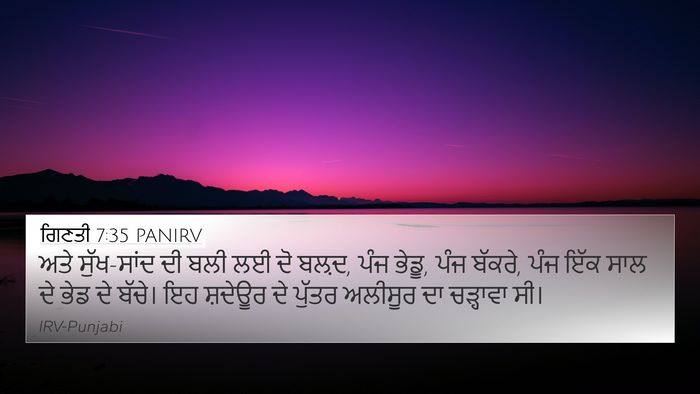 ਗਿਣਤੀ 7:35 PANIRV Bible Verse Image