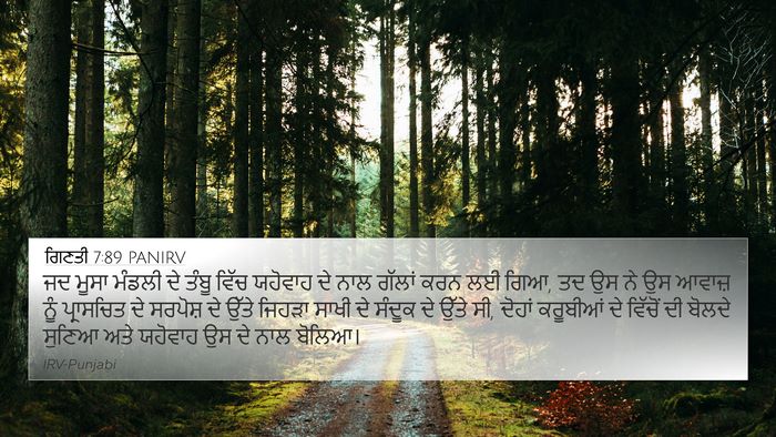 ਗਿਣਤੀ 7:89 PANIRV 4K Wallpaper - ਜਦ ਮੂਸਾ ਮੰਡਲੀ ਦੇ - 4K Wallpaper Bible Verse