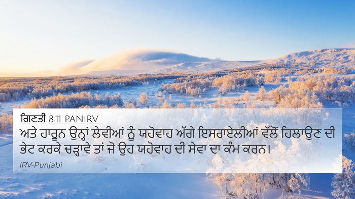 ਗਿਣਤੀ 8:11 PANIRV Bible Verse Image