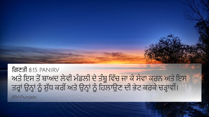 ਗਿਣਤੀ 8:15 PANIRV Bible Verse Image