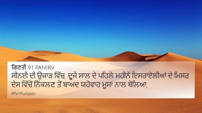 ਗਿਣਤੀ 9:1 PANIRV Bible Verse Image
