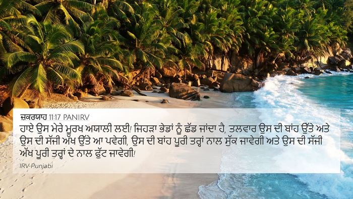 ਜ਼ਕਰਯਾਹ 11:17 PANIRV Bible Verse Image