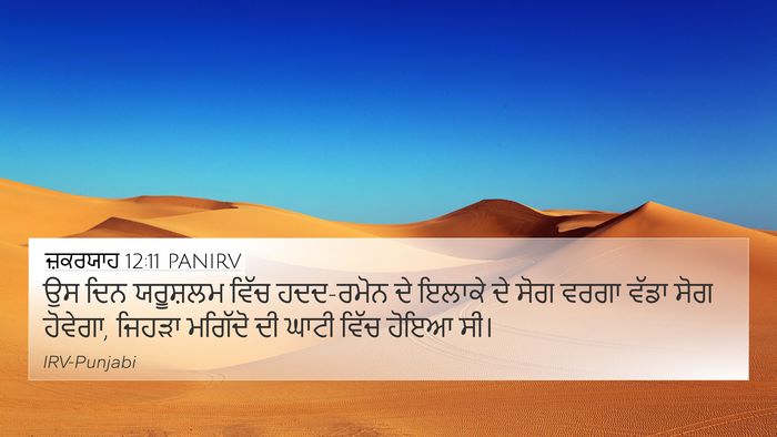 ਜ਼ਕਰਯਾਹ 12:11 PANIRV Bible Verse Image