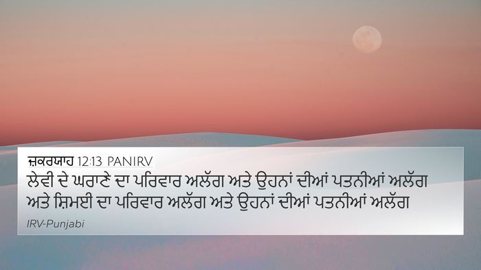 ਜ਼ਕਰਯਾਹ 12:13 PANIRV Bible Verse Image