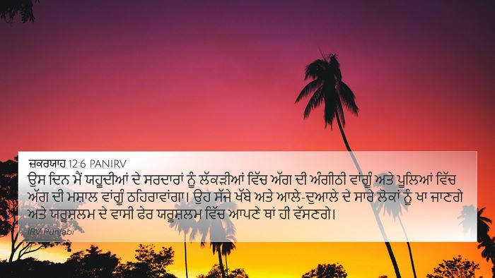 ਜ਼ਕਰਯਾਹ 12:6 PANIRV Bible Verse Image