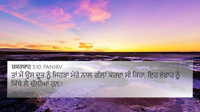 ਜ਼ਕਰਯਾਹ 5:10 PANIRV Bible Verse Image