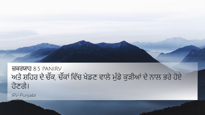 ਜ਼ਕਰਯਾਹ 8:5 PANIRV Bible Verse Image