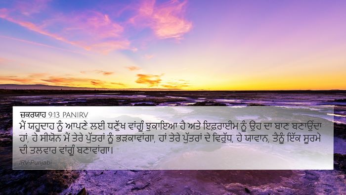 ਜ਼ਕਰਯਾਹ 9:13 PANIRV Bible Verse Image