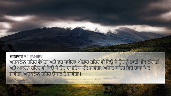 ਜ਼ਕਰਯਾਹ 9:5 PANIRV Bible Verse Image