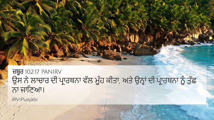 ਜ਼ਬੂਰ 102:17 PANIRV Bible Verse Image