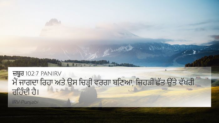 ਜ਼ਬੂਰ 102:7 PANIRV Bible Verse Image