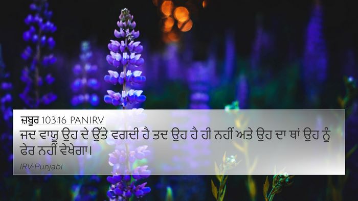 ਜ਼ਬੂਰ 103:16 PANIRV Bible Verse Image