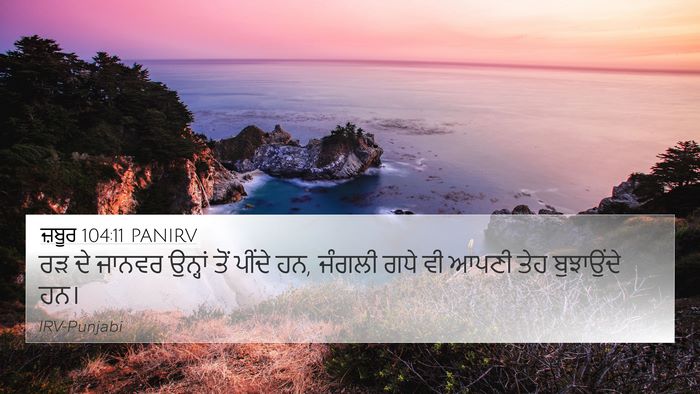 ਜ਼ਬੂਰ 104:11 PANIRV Bible Verse Image