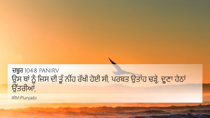 ਜ਼ਬੂਰ 104:8 PANIRV Bible Verse Image