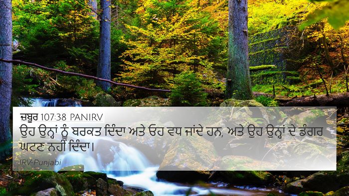 ਜ਼ਬੂਰ 107:38 PANIRV Bible Verse Image