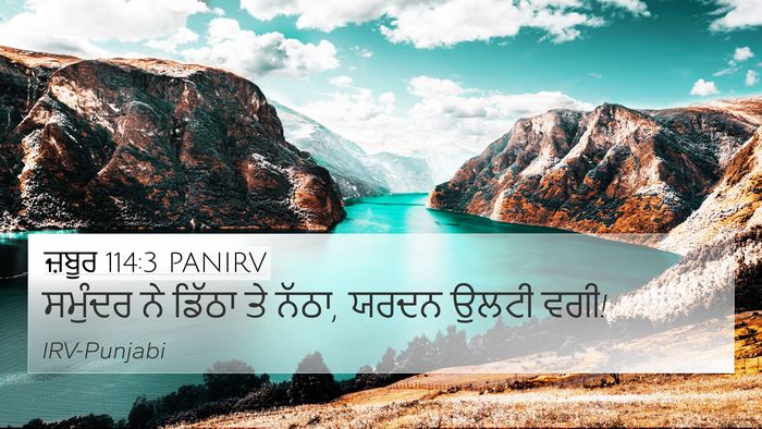 ਜ਼ਬੂਰ 114:3 PANIRV Bible Verse Image