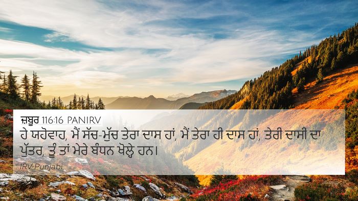ਜ਼ਬੂਰ 116:16 PANIRV Bible Verse Image