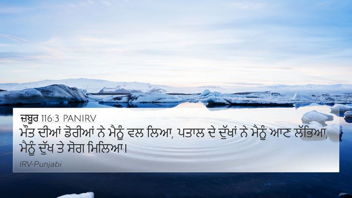 ਜ਼ਬੂਰ 116:3 PANIRV Bible Verse Image