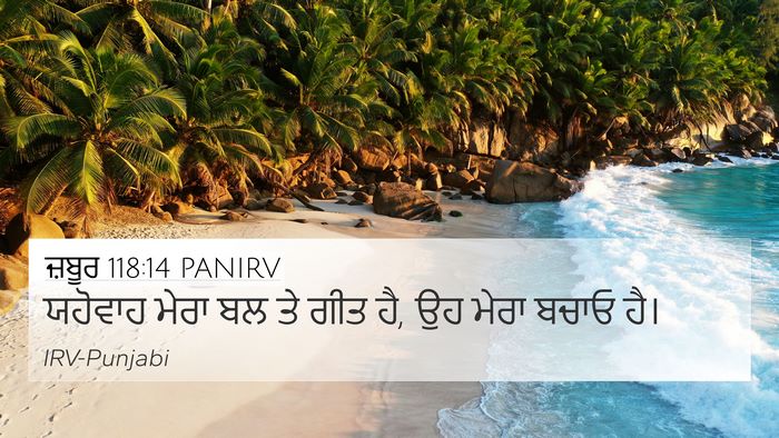 ਜ਼ਬੂਰ 118:14 PANIRV Bible Verse Image