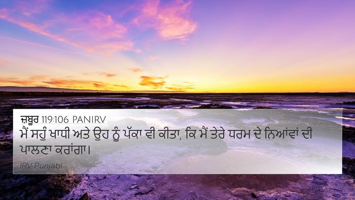 ਜ਼ਬੂਰ 119:106 PANIRV Bible Verse Image