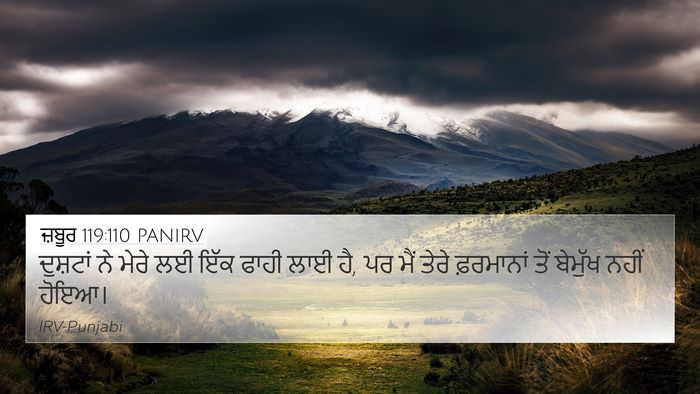 ਜ਼ਬੂਰ 119:110 PANIRV Bible Verse Image
