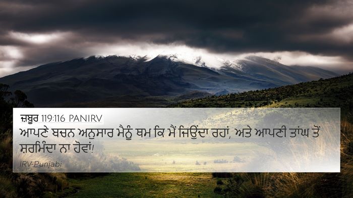 ਜ਼ਬੂਰ 119:116 PANIRV Bible Verse Image