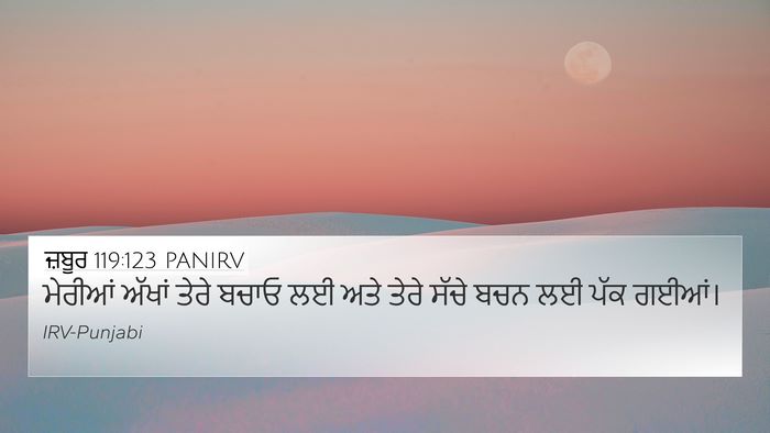 ਜ਼ਬੂਰ 119:123 PANIRV Bible Verse Image